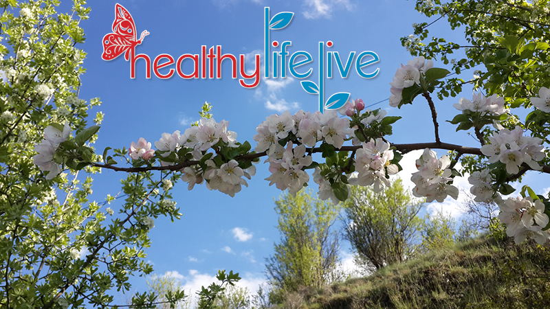 lifelive image-1